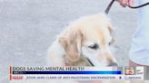 Dogs visit Central IL high school to help students de-stress ahead of finals