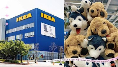 「IKEA效應」是什麼？本體是霜淇淋＆絨毛娃娃？8點認識瑞典傢具品牌IKEA！ | 生活發現 | 妞新聞 niusnews
