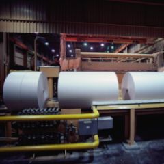 Paper & Pulp Manufacturing