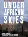 Under African Skies