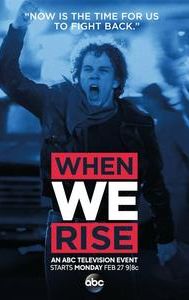 When We Rise