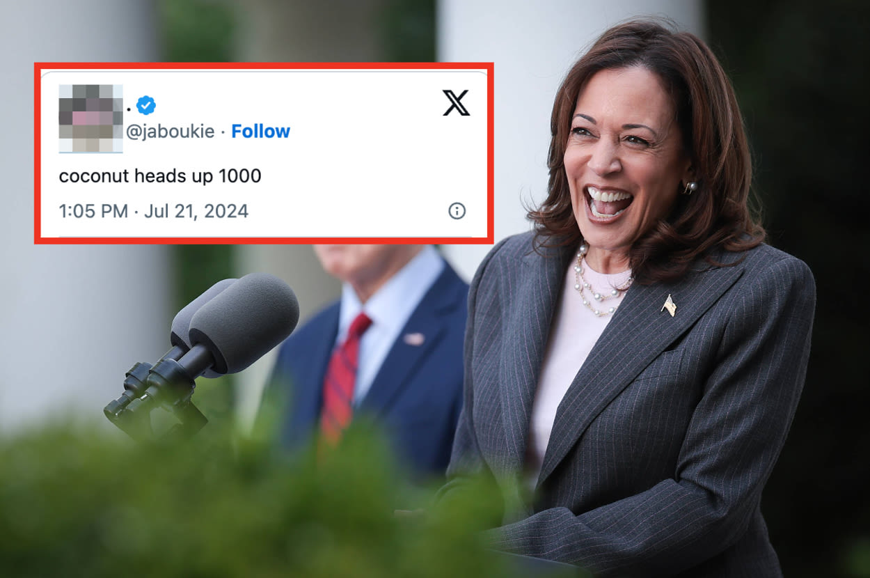 Twitter Is ALIVE Right Now. Here Are 22 Hilarious, Shocked, And Immediate Reactions To Joe Biden Endorsing Kamala...