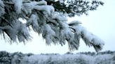 Snow accumulation NJ: Central Jersey to Shore snow totals