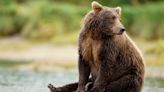 Voting Is Officially Underway to Crown the Fattest Bear in Katmai National Park for 'Fat Bear Week'