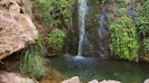 Visiting a national forest in New Mexico? Enchantment Pass gets you access with yearly fee