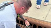 Firefighters rescue kitten stuck in Princeton storm drain