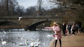 Is it against the law to feed birds? Pensioner threatened with fine