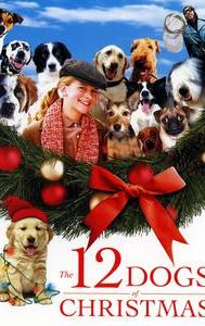 The 12 Dogs of Christmas