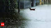 Goa nears 2,000mm rainfall mark amid IMD’s red alert | Goa News - Times of India