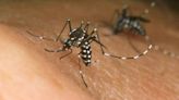 Study: 2 new mosquito species moving toward Michigan, potential for more diseases