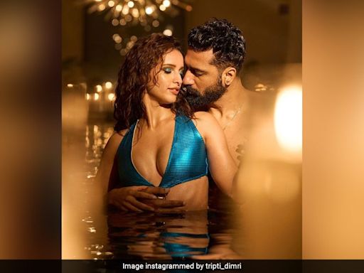 Triptii Dimri Is All Set To Become Your Jaanam In A Blue Cutout Swimsuit