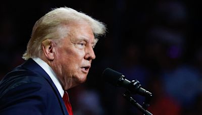 Trump criticizes Harris at NABJ conference: 'I didn't know she was black'