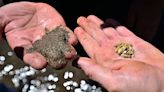 黃鐵礦發現有鋰 將是下一個「淘金潮」 - 自由財經