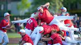 OHSAA baseball: Grove City edges Watterson, Liberty beats DeSales in district finals