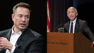 ...Elon Musk Agrees With Donald Trump Ally That Anthony Fauci Should Be Jailed For Lying To Congress In...