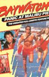 Baywatch: Panic at Malibu Pier