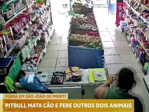 Pitbull mata cão e fere outros dois animais na Baixada Fluminense