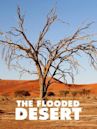 The Flooded Desert