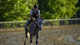 Seize the Grey draws inside post for the Belmont. Derby runner-up Sierra Leone is favored - WTOP News