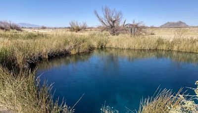 Southern Nevada delegation asks feds for 20-year mining ban near Ash Meadows wildlife refuge