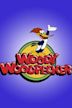 Woody Woodpecker