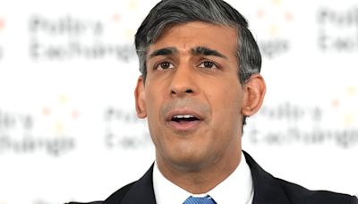 Rishi Sunak lays out UK food security plan to withstand climate and war