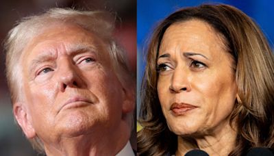 Trump is weaponizing the stock downturn to attack Kamala Harris