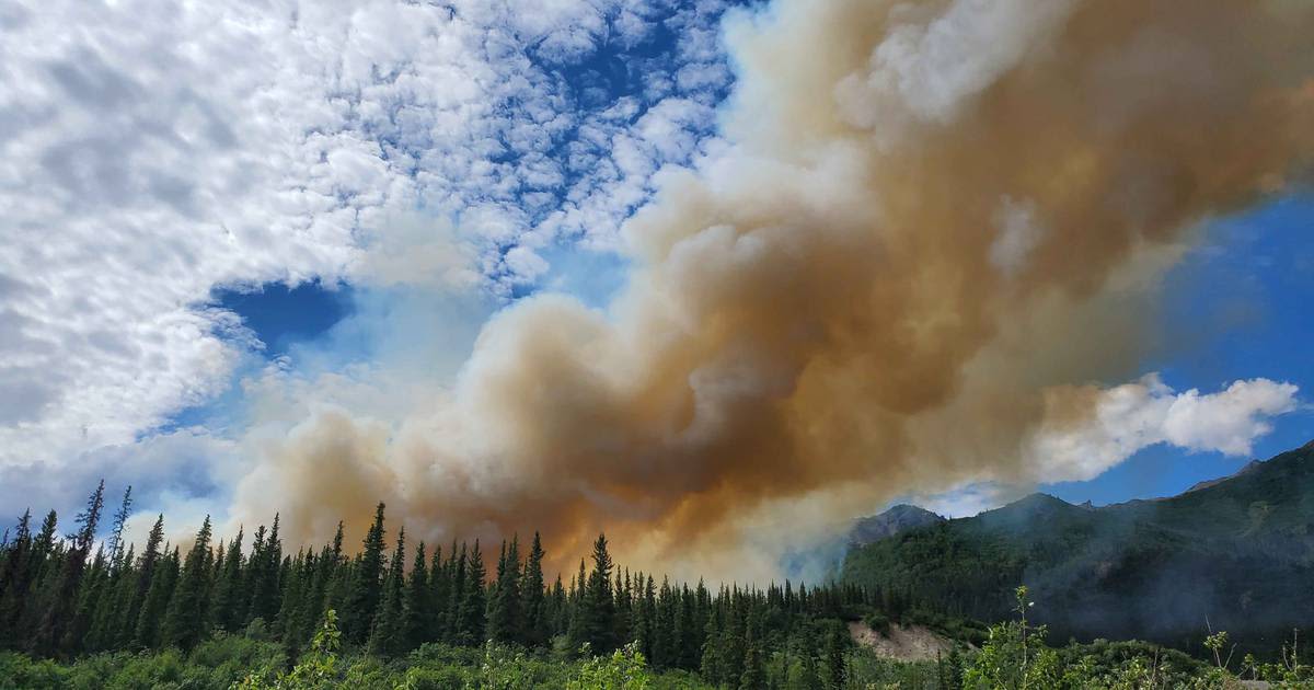 Crews fight rapidly growing wildfire near Denali National Park entrance