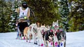 Trace Drake medals in first race at the Idaho Sled Dog Challenge's Warm Lake Stage Race