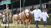 Great Yorkshire Show sells out as it prepares for 165th year