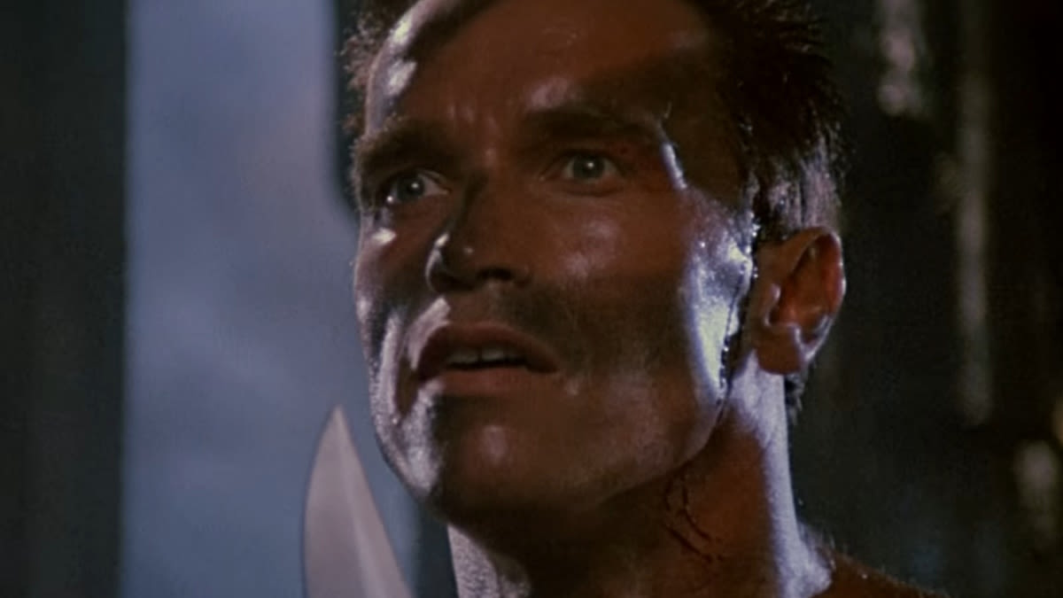 The 32 greatest Arnold Schwarzenegger movies