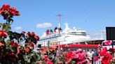 Cruise ship pollution panned as Victoria ponders shore power alternatives