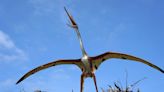 Meet the Quetzalcoatlus, Enormous Prehistoric Flying Lizards
