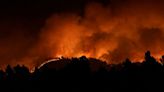 People leave animals behind as hundreds flee their homes during wildfire in Spain