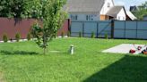 Homeowner warned after seeking advice on convincing HOA to allow lawn transformation: ‘Please don’t…’