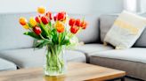 The big spring clean: 7 tips to get the job done