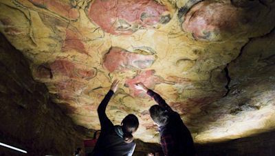 La vegetación del abrigo de la cueva es el origen principal del CO2 en Altamira