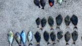 3 men cited for fishing violations within Maui’s Ahihi-Kinau Natural Area Reserve