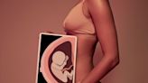 Can your body “remember” pregnancy? A new study in mice suggests so