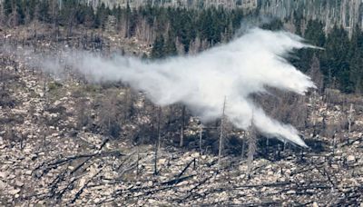 Feuerwehreinsatz im Harz: Waldstück am Königsberg steht in Flammen!