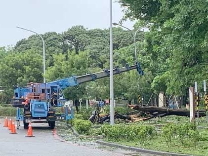 新營及永華體育園區遭颱風侵襲 南市體育局全力修復提供安全運動環境