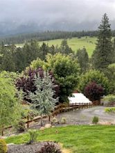 Forest Cove Acres - Travel Oregon