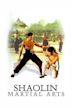 Shaolin Martial Arts