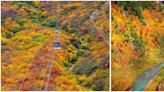 黑部水壩×滿山紅葉，大自然恣意揮灑之作～日本立山黑部阿爾卑斯山脈路線