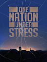 One Nation Under Stress