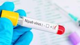 Nipah virus alert sounded in Rajasthan