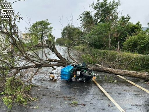 雨彈炸中台灣！彰化「郵差」送信遭路樹擊落 到院前死亡