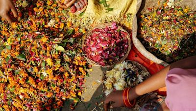 Green Temples: India's Innovative Approach To Floral Waste Management