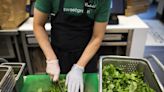 Sweetgreen stock plummets after salad chain lowers forecast, announces layoffs and office downsizing