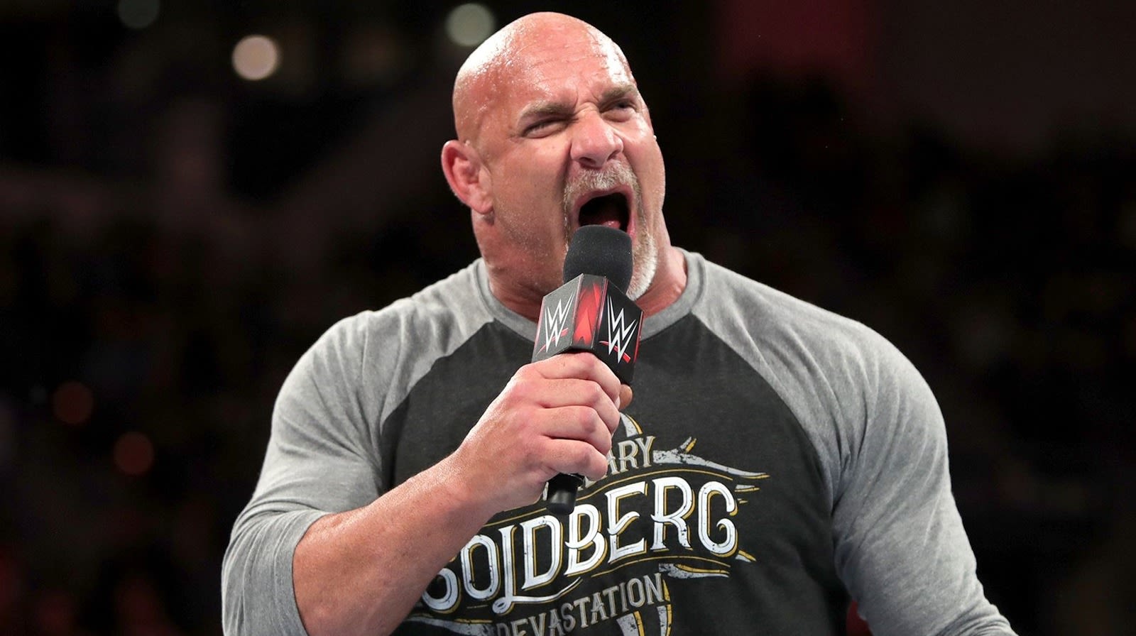 Goldberg Addresses Additional WWE Match Vince McMahon Promised Him - Wrestling Inc.